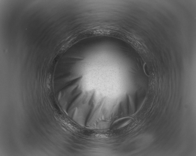 X0000082980649200702230035