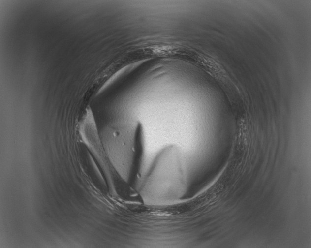 X0000082980650200702230035