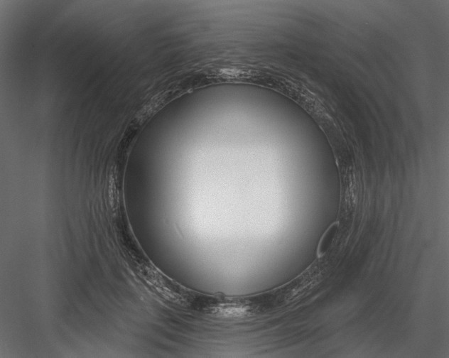 X0000082980651200702230035