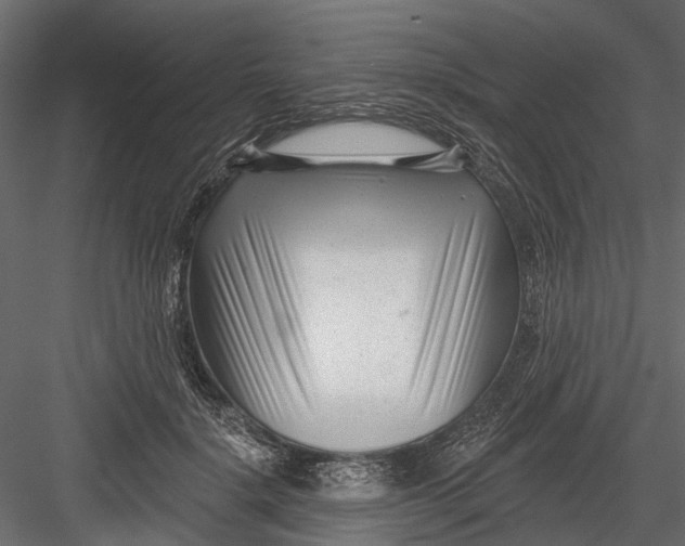 X0000082980652200702230035