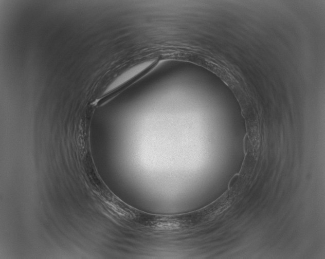 X0000082980653200702230035