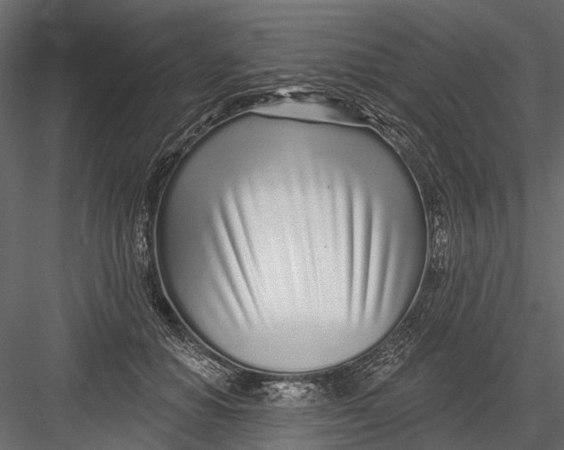 X0000082980654200702230035