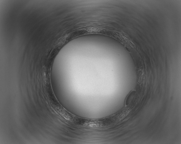 X0000082980655200702230035