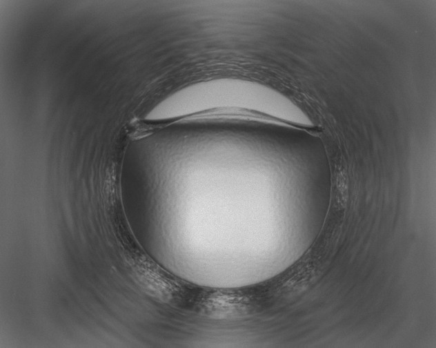 X0000082980657200702230035