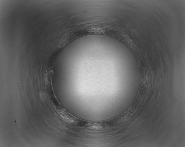 X0000082980658200702230035