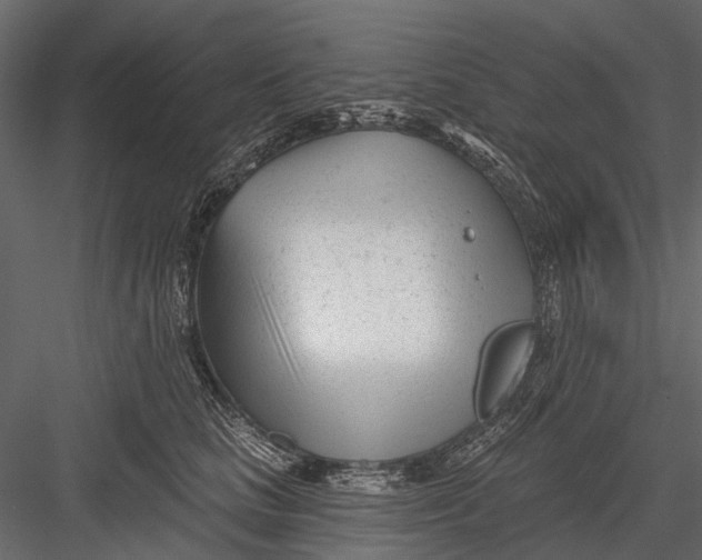 X0000082980661200702230035