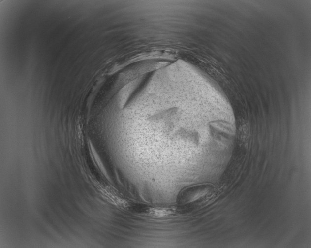 X0000082980662200702230035