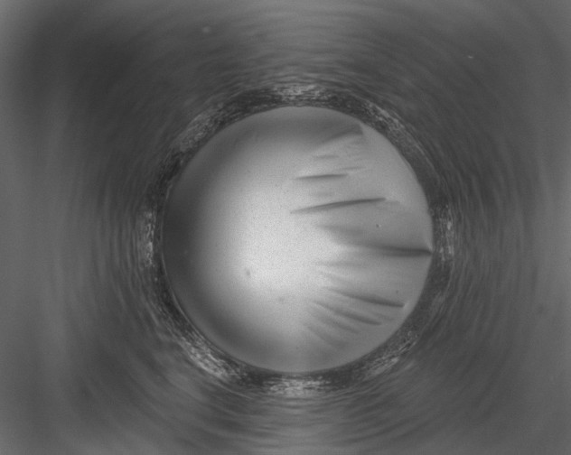 X0000082980664200702230035