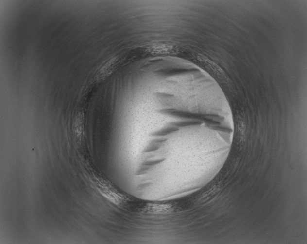 X0000082980665200702230035