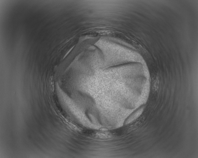X0000082980666200702230035