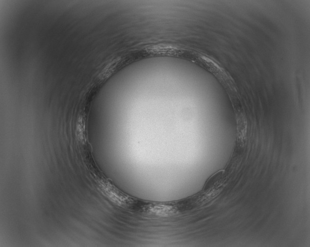 X0000082980669200702230035