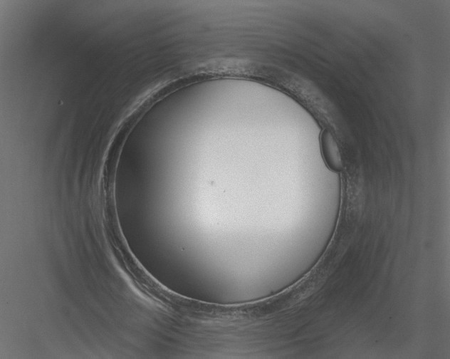X0000082980674200702230034