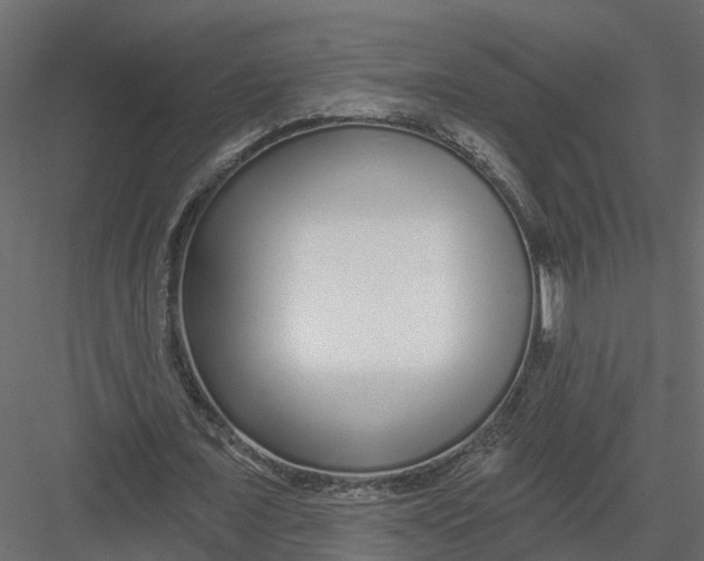 X0000082980675200702230034