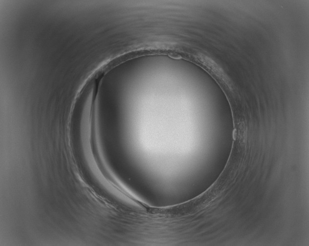 X0000082980676200702230034