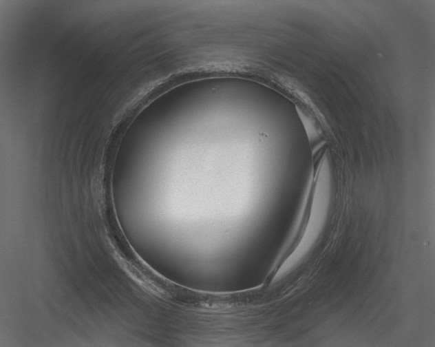 X0000082980677200702230034