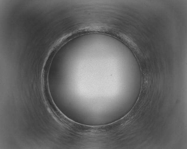 X0000082980678200702230034