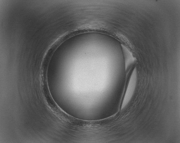 X0000082980680200702230034