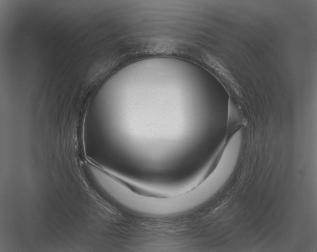 X0000082980681200702230034