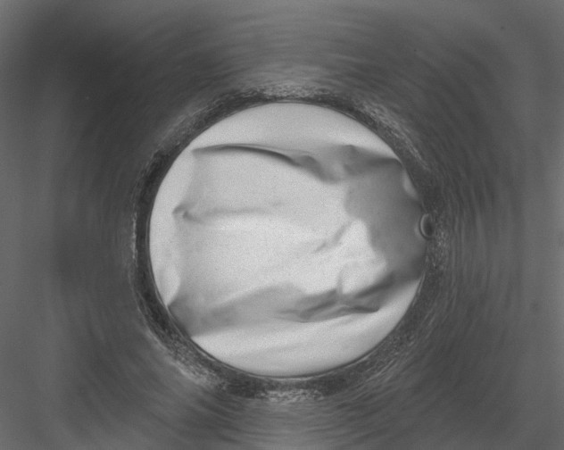 X0000082980686200702230034