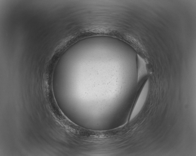 X0000082980688200702230034