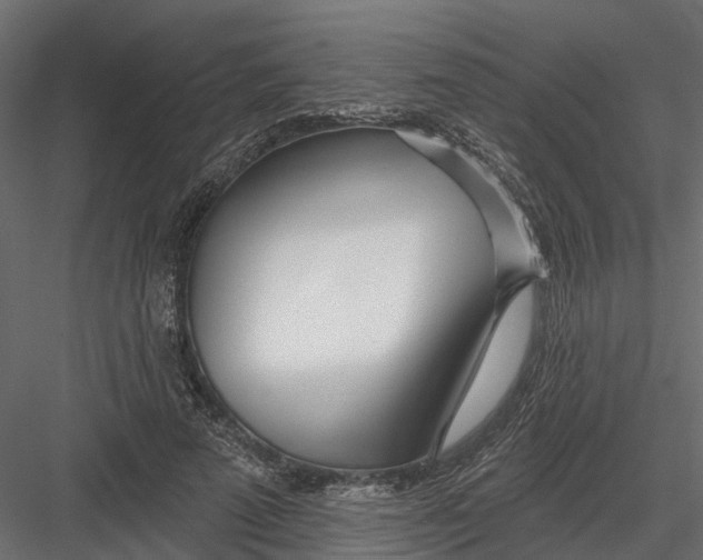 X0000082980689200702230034