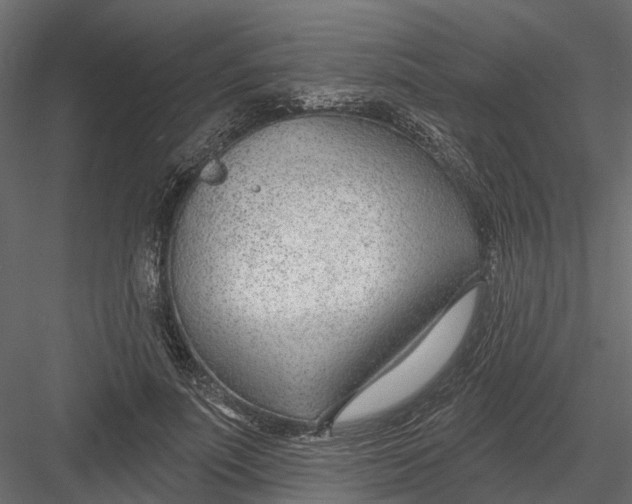 X0000082980691200702230034