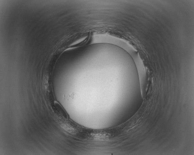 X0000082980693200702230034