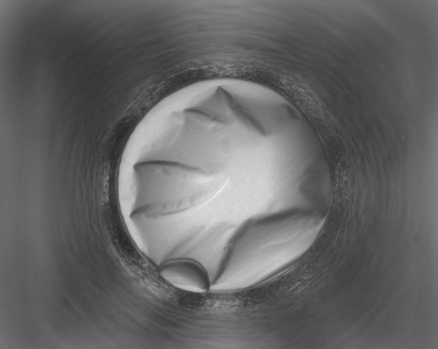 X0000082980694200702230034