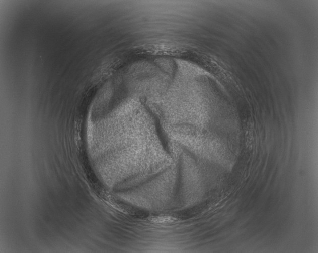 X0000082980695200702230034