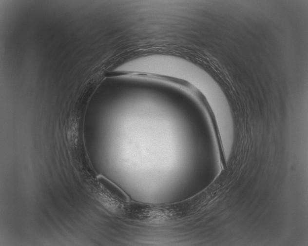 X0000082980697200702230034