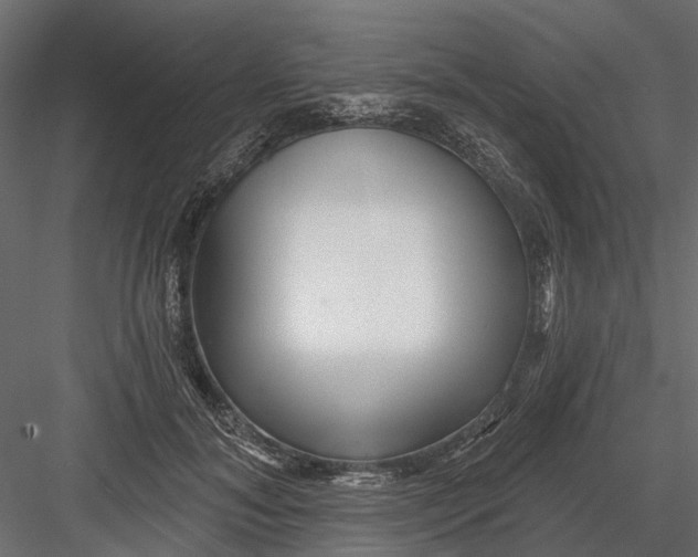 X0000082980700200702230034