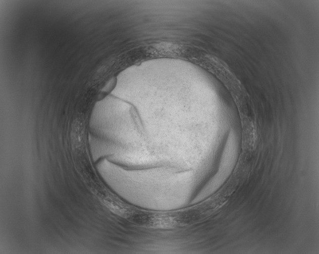 X0000082980701200702230034
