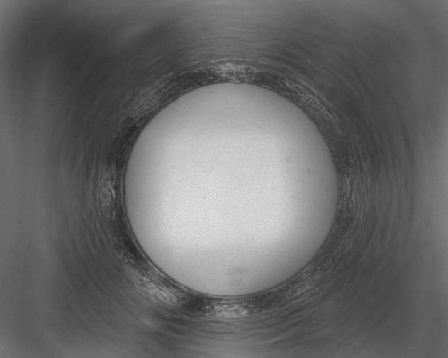 X0000082980702200702230034