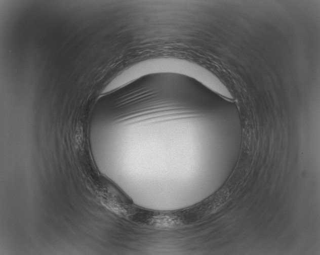 X0000082980704200702230034