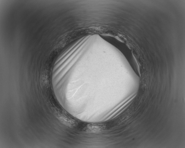 X0000082980706200702230034