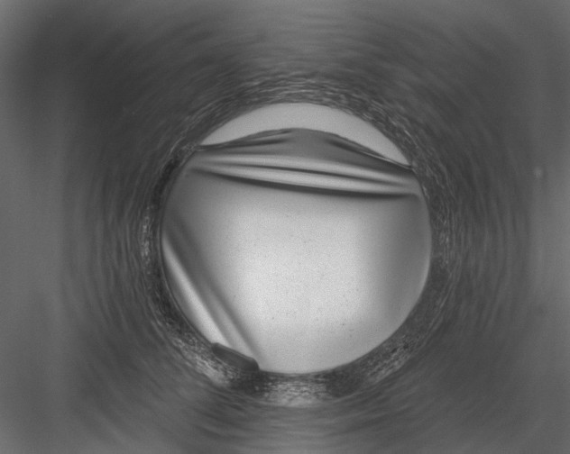 X0000082980708200702230033