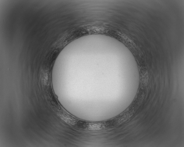 X0000082980709200702230033