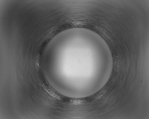 X0000082980710200702230033
