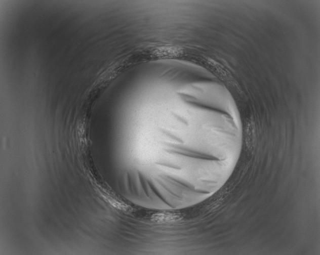 X0000082980714200702230033