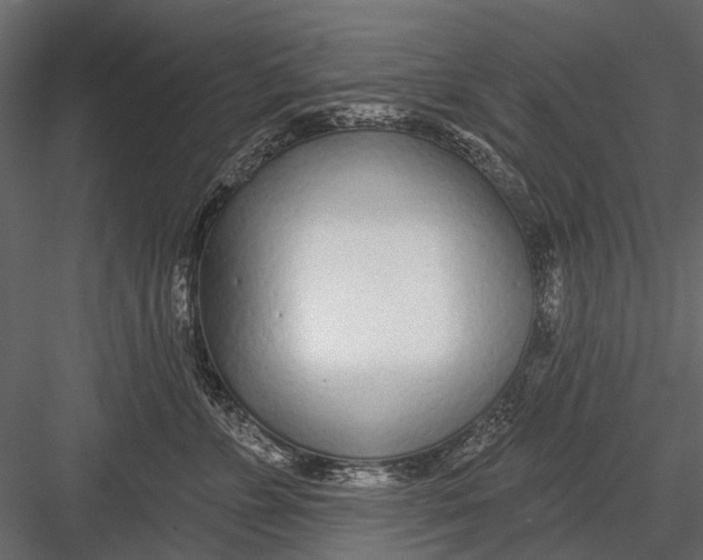 X0000082980715200702230033