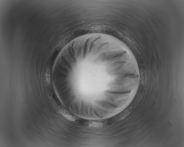 X0000082980718200702230033