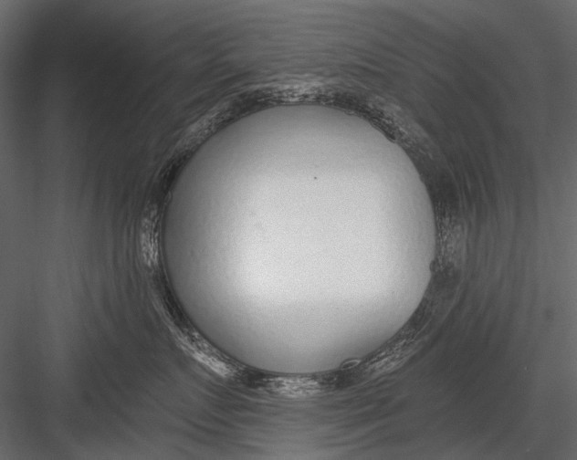 X0000082980719200702230033