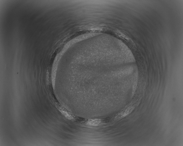 X0000082980720200702230033