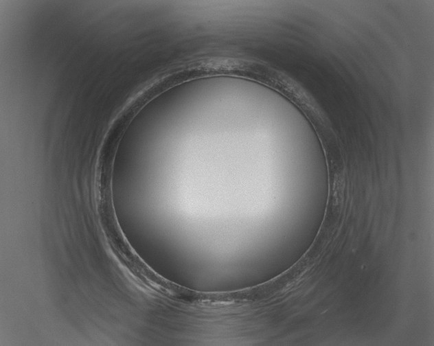 X0000082980722200702230032