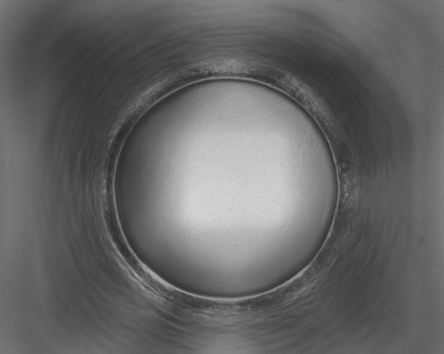 X0000082980725200702230032
