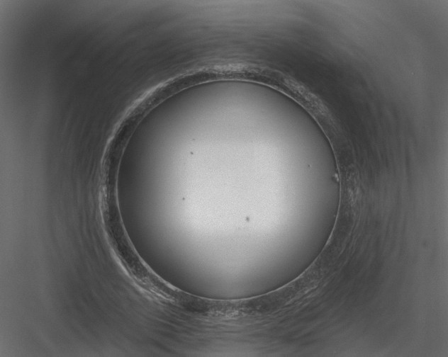 X0000082980728200702230033