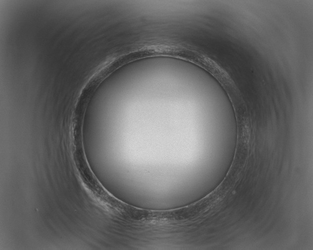 X0000082980730200702230033