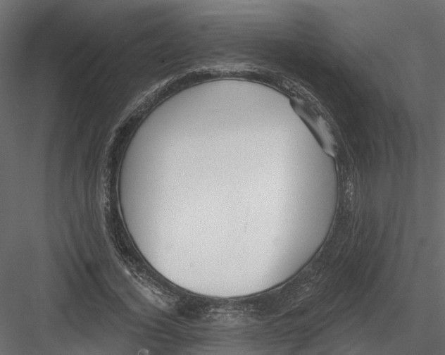 X0000082980732200702230033