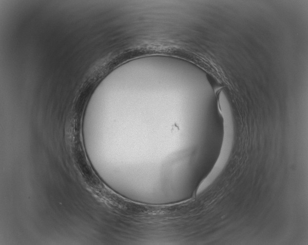 X0000082980736200702230033