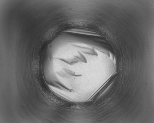X0000082980739200702230033